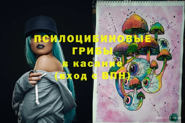 мдпв Верхний Тагил
