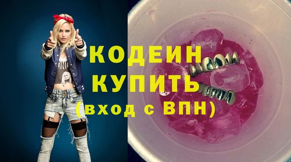 мдпв Верхний Тагил