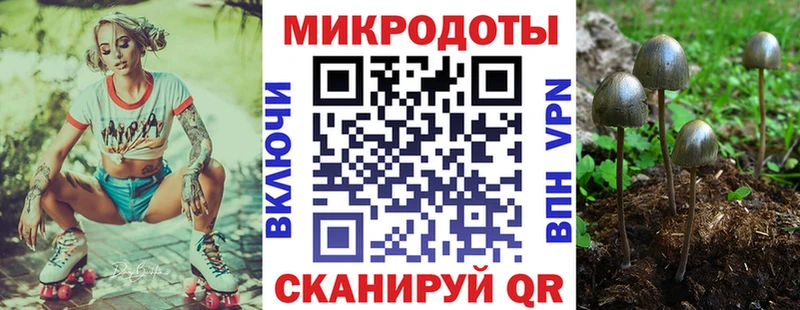 цена наркотик  Высоцк  Псилоцибиновые грибы мицелий 